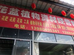 -金科花卉市场