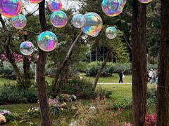 -人民公园(罗湖区)