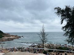 -广东惠东海龟国家级自然保护区