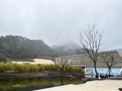-中国宣纸文化园