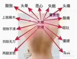 -香薇妮丝·定制减肥·身材管理
