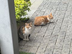 -星巴克(珠海仁恒滨海中心店)