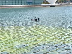 -东方体育中心(地铁站)