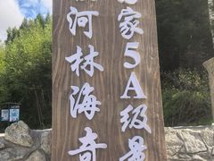 -汤旺河林海奇石景区