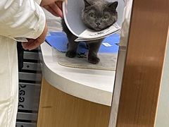 -瑞派宠物医院·中兽医专科(中央商城分院)