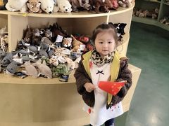 -青岛森林野生动物世界