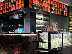 -烛影拾光观景餐厅·创意菜·摄影·小提琴(大唐不夜城店)