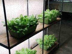 -番食园鲜食火锅(高新店)