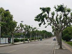 -同济大学(嘉定校区)