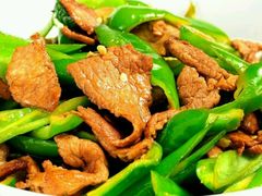 青椒炒肉-春發合饭庄