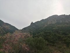 -云岫谷自然风景区