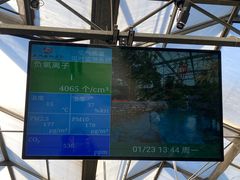 -南宫五洲植物乐园