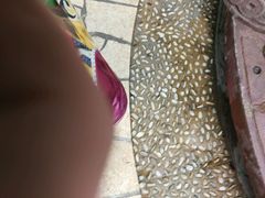 -龙达温泉生态城