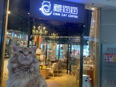 -藏猫猫咖啡主题馆(中央大道店)