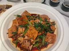 肉沫烧地锅豆腐-阿五黄河大鲤鱼(英协路店)