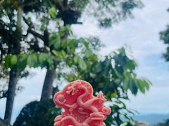 -亚龙湾热带天堂森林公园