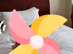 -罗浮山嘉宝田森林温泉度假酒店