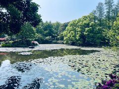 -杭州植物园