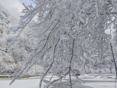-秦岭终南山世界地质公园翠华山景区