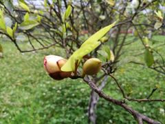-雅安楠水阁温泉酒店