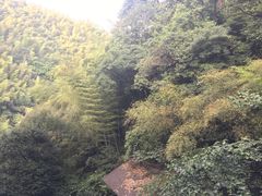 -莫干山风景区