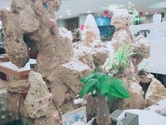 -首钢一九一九大酒楼(石景山店)