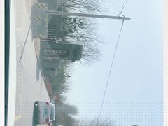 -东郊湿地公园