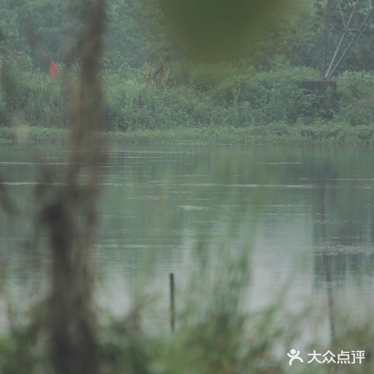 武汉果乐小镇钓小龙虾,有和我一样的童年吗?