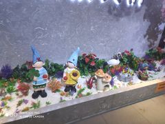-海底捞火锅(龙茗路店)