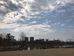 -九科绿洲
