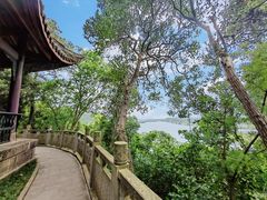 -子昂故里文化旅游区