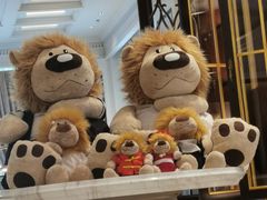 -富力丽思卡尔顿酒店健身中心