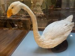 -陕西自然博物馆