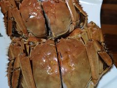 -呼吸森林·生态农庄农家乐私房菜