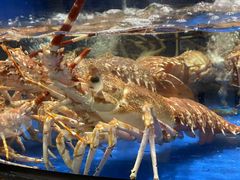 -海景壹号大酒店(惠钱路店)