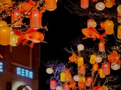 -龙湖星悦荟(颐和店)