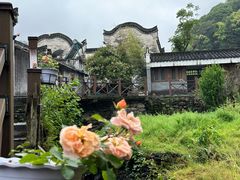 -石台牯牛降景区