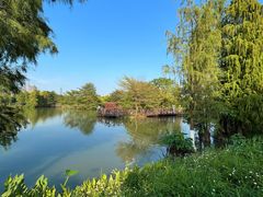 -海珠湖公园