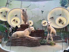 -陕西自然博物馆