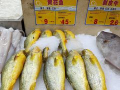 黄花鱼-东江海鲜酒家(艺都分店)