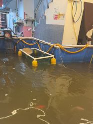 -巡鱼道·室内垂钓·渔具店