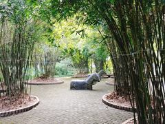 -瀛洲公园