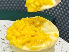 -茉酸奶(春熙路店)