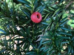 -丹东天桥沟景区