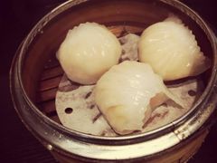 虾饺-糖朝(尖沙咀店)