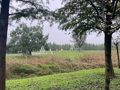 -黄海国家森林公园