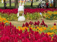 -北京国际鲜花港