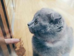 -龟与熊猫宠物公园(南坪店)