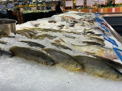 -麦德龙(浦东店)