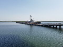 -贝林大翅鲸简餐厅(国家海洋博物馆店)